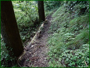 e0033229_2057095.jpg
