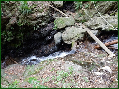 e0033229_2214141.jpg