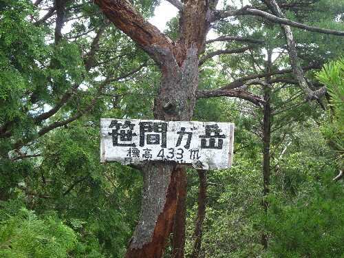 d0075131_1716509.jpg