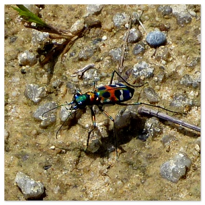 d0075131_17294016.jpg