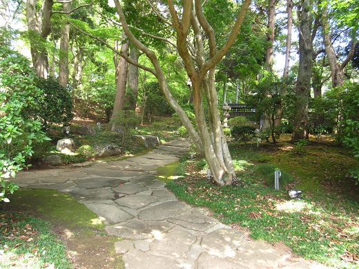 f0002833_2242261.jpg