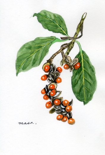 f0142733_20020435.jpg