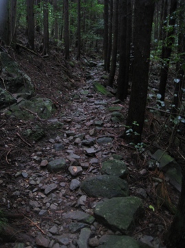 c0077338_20235246.jpg