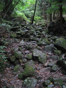 c0077338_2024135.jpg
