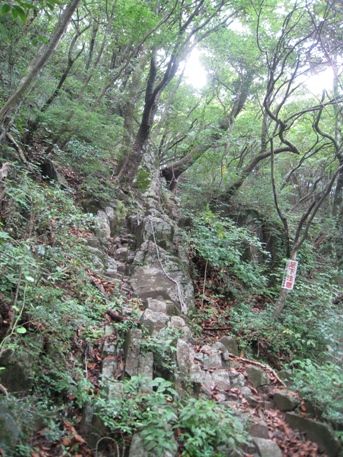 c0077338_20242012.jpg