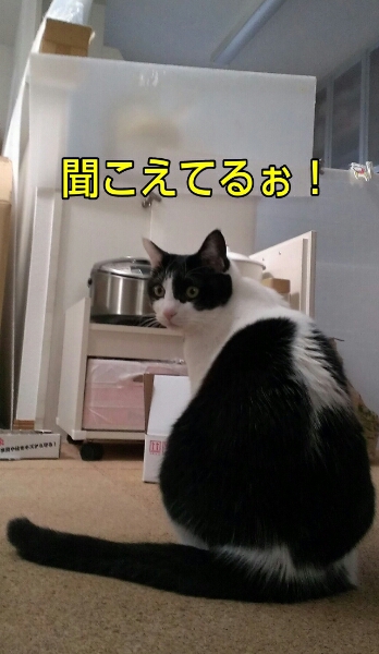 c0181639_19341041.jpg