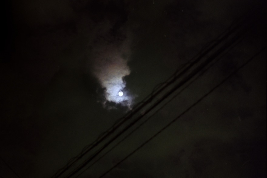 d0089742_1173864.jpg