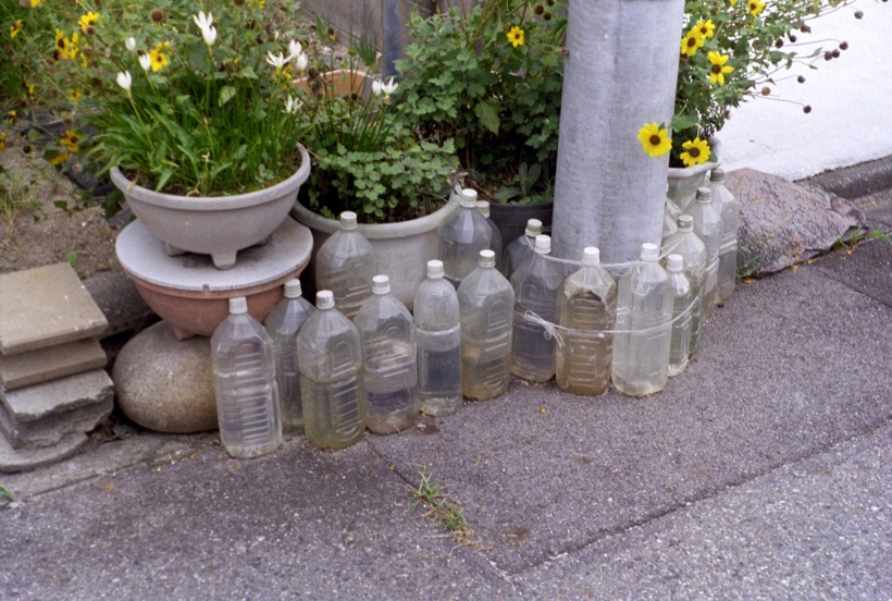 d0089742_1331559.jpg