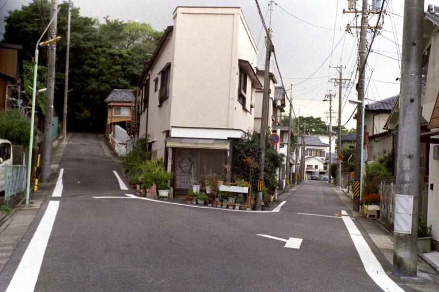 d0089742_1332617.jpg