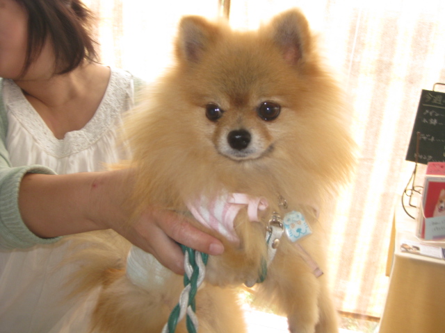 c0134645_0271826.jpg