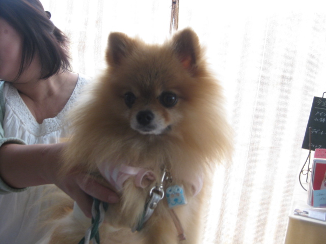 c0134645_0432525.jpg
