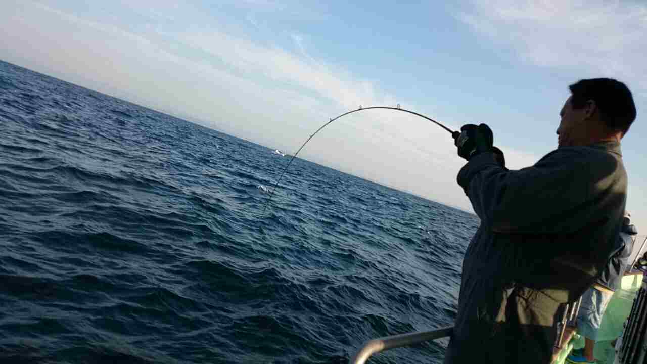 a0248152_1865799.jpg