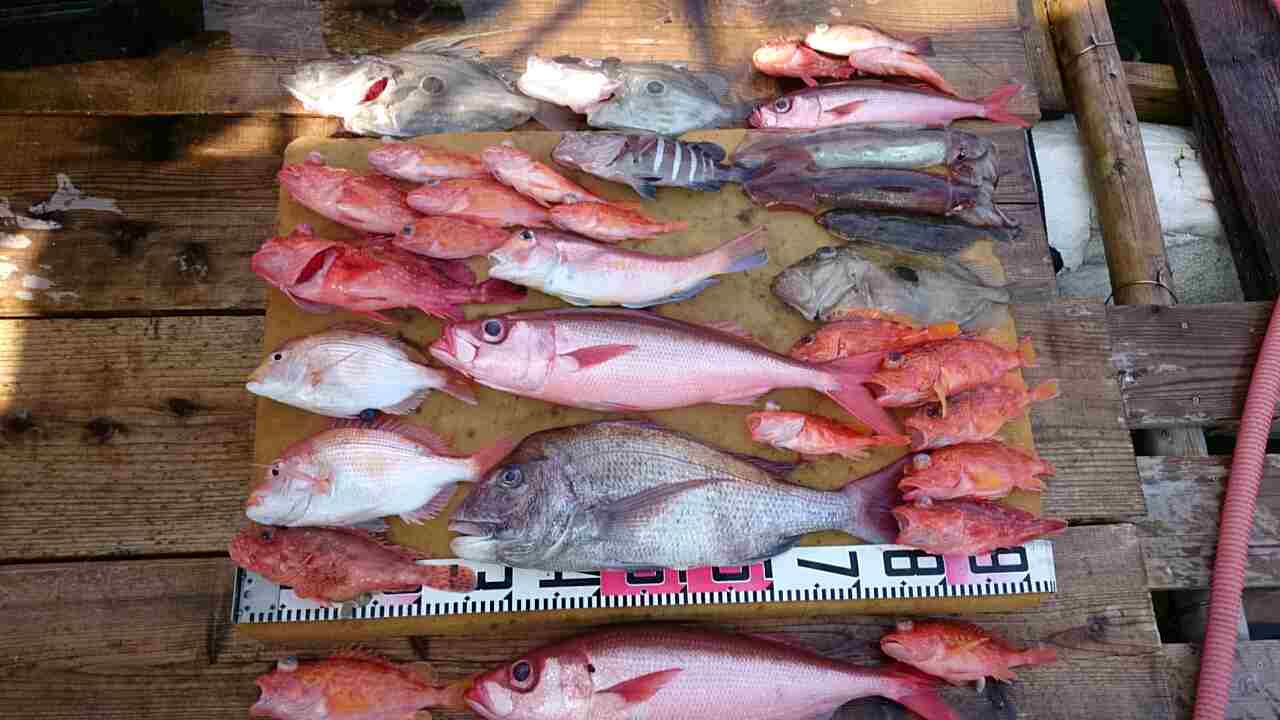 a0248152_1884451.jpg