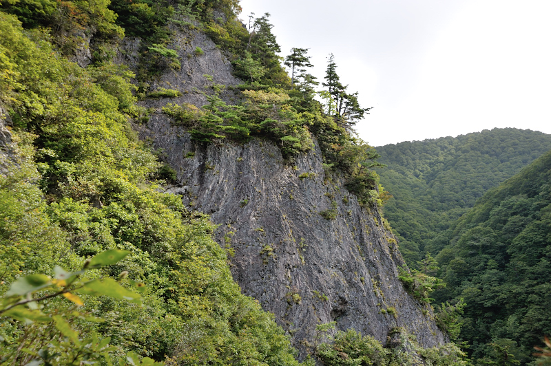 d0169556_1826119.jpg
