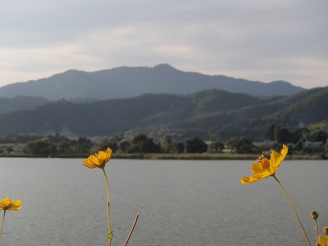 b0044663_23252566.jpg
