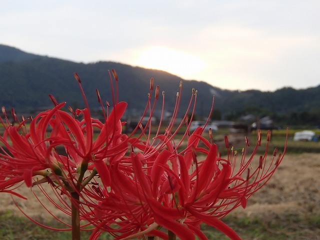 b0044663_23295877.jpg