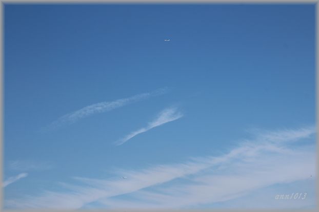 e0232963_16354330.jpg