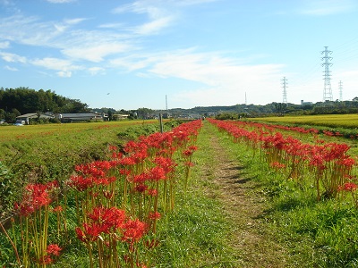 d0239667_12363177.jpg