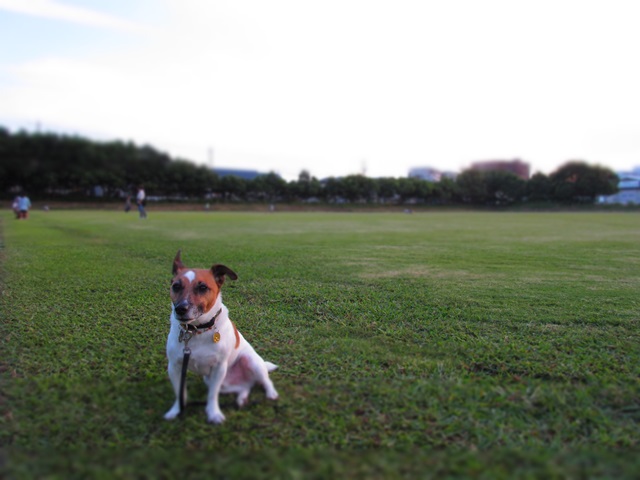 f0100871_21503359.jpg