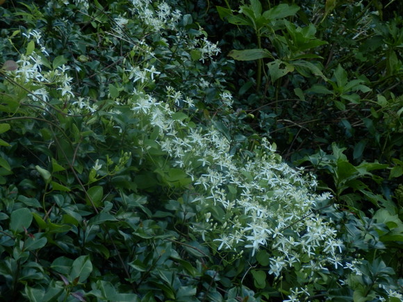 e0292172_211729.jpg