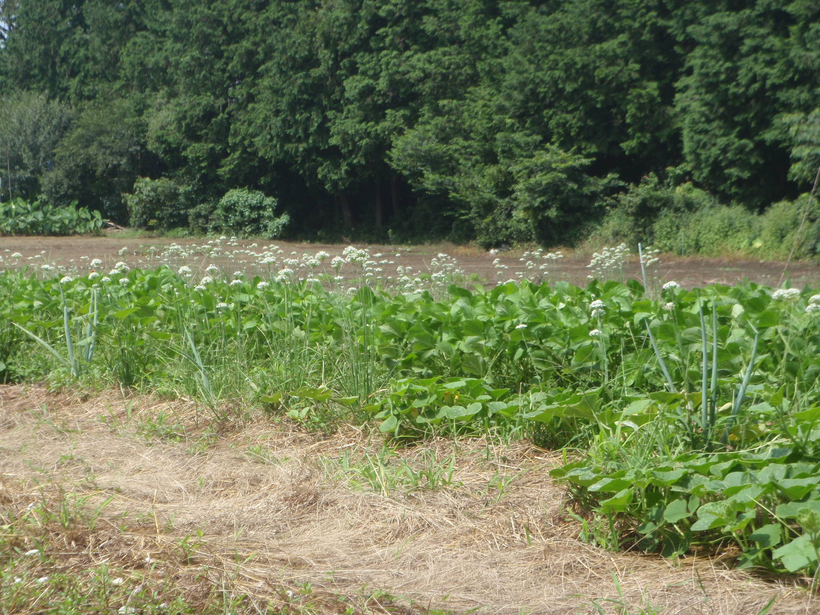 f0224772_185046.jpg
