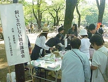 c0268274_23583071.jpg