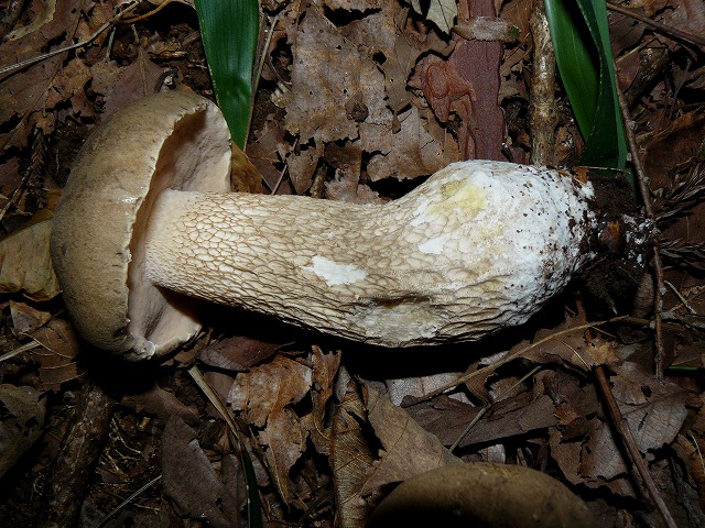 d0019074_7565586.jpg