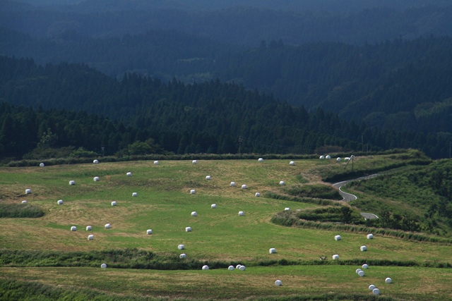 d0126577_2150287.jpg
