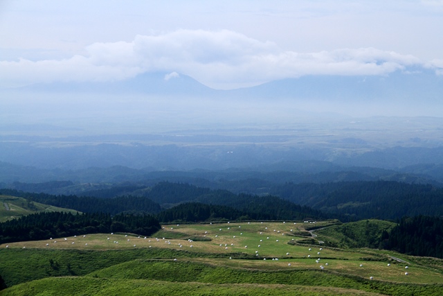 d0126577_2150351.jpg