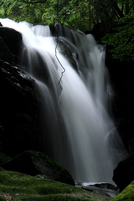 d0126577_21534950.jpg