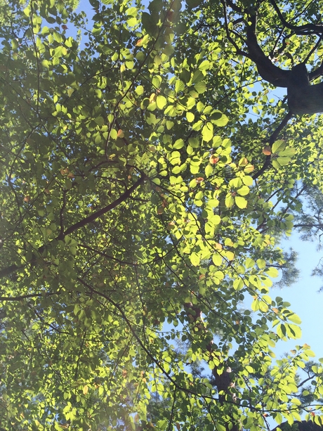 c0283778_17582175.jpg