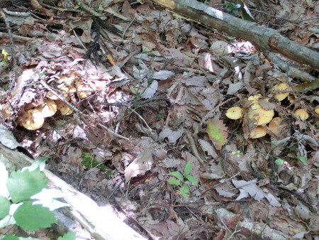 a0066081_22462735.jpg