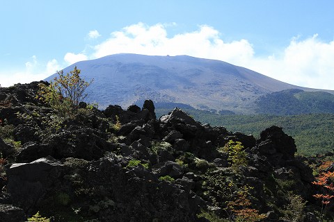 a0222494_831513.jpg