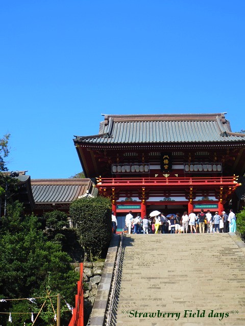 c0087094_17283240.jpg
