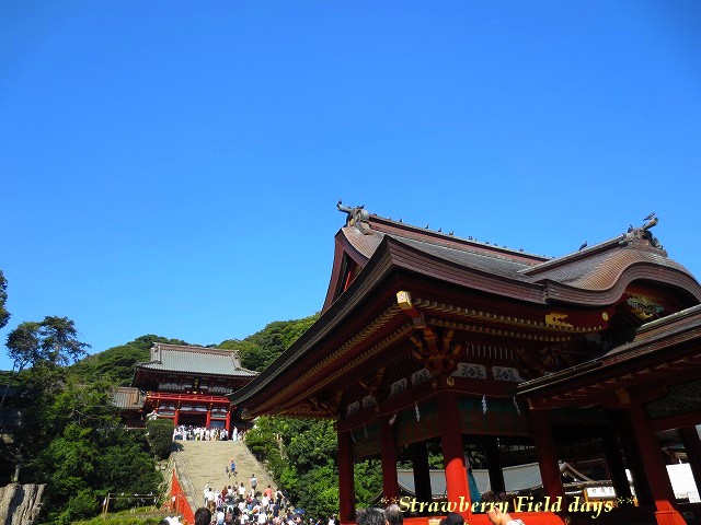 c0087094_17301613.jpg