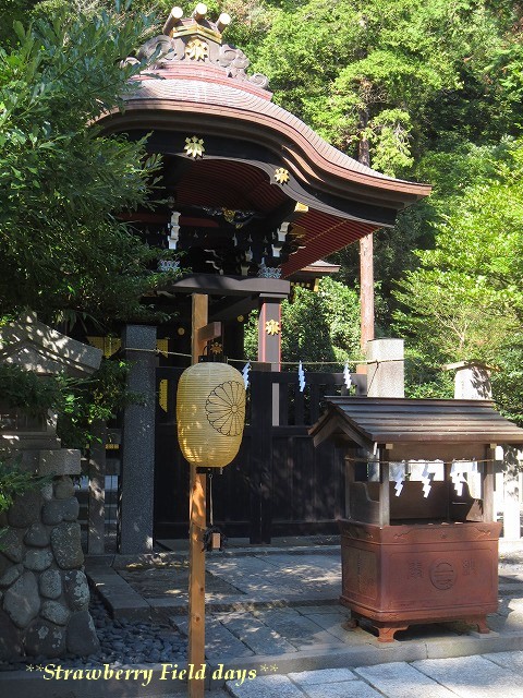 c0087094_173617100.jpg