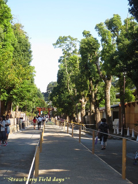 c0087094_17401677.jpg