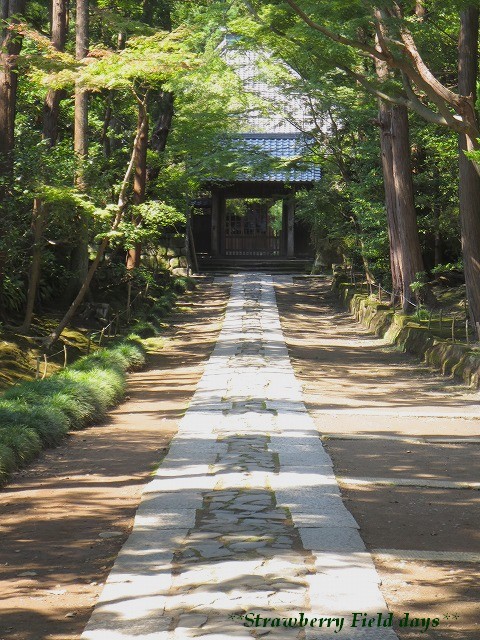 c0087094_18101369.jpg