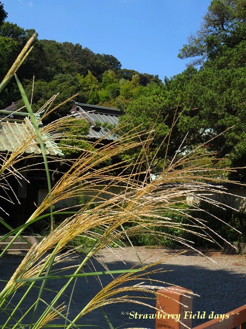 c0087094_18155840.jpg