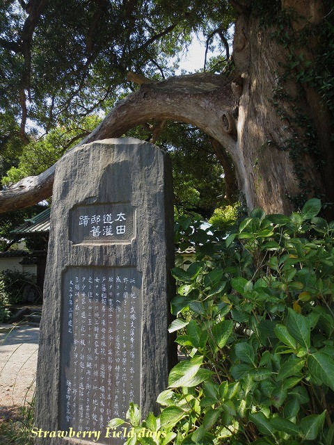 c0087094_18192083.jpg