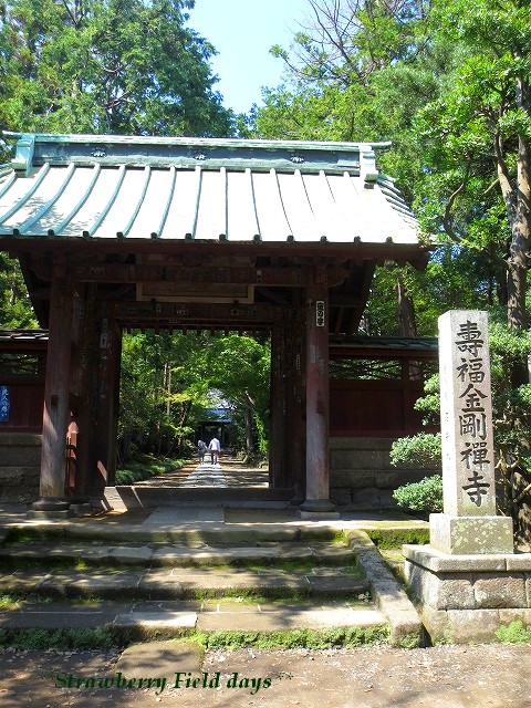 c0087094_1893163.jpg