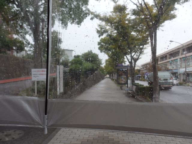 f0130894_022761.jpg