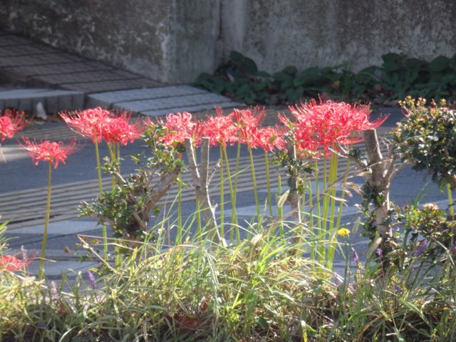 f0130894_23323647.jpg