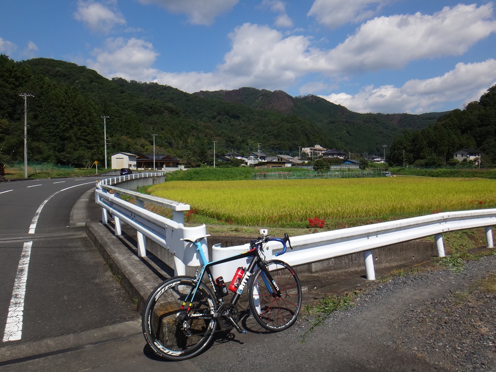 b0092300_0295689.jpg