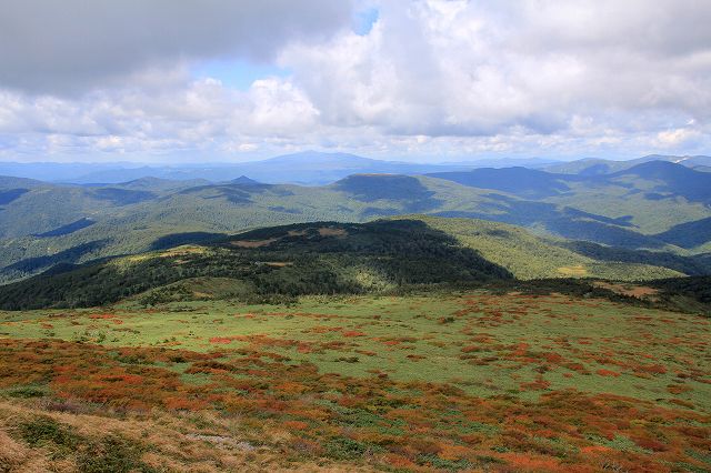 e0137200_20144726.jpg