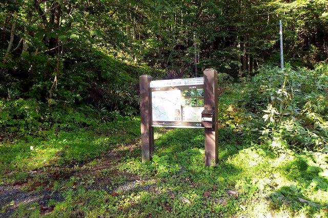 e0137200_2052165.jpg