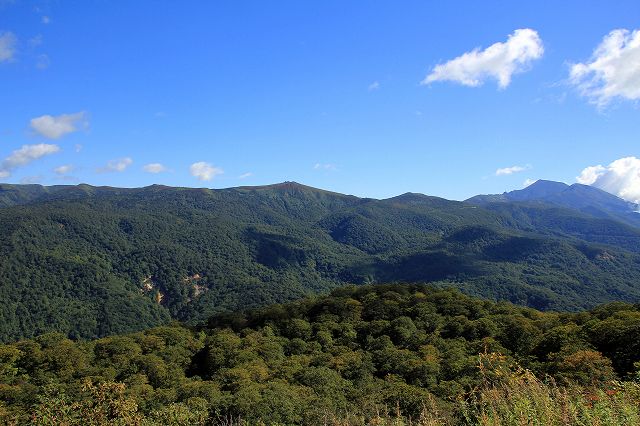 e0137200_2074281.jpg