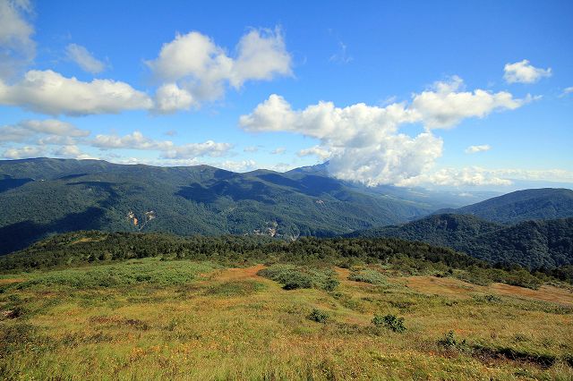 e0137200_2085827.jpg