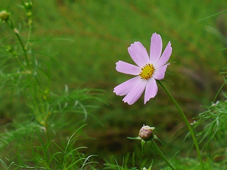 c0098807_9595631.jpg