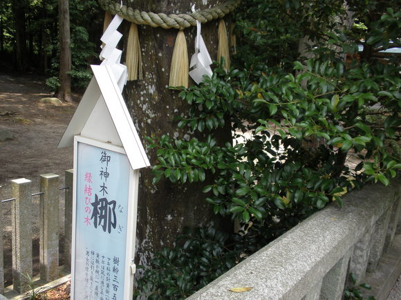 b0273309_19444064.jpg